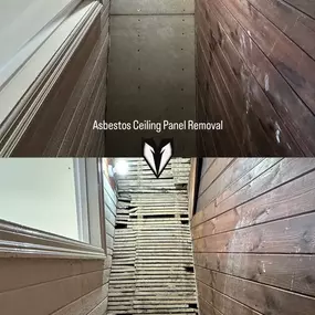 Bild von Alpha Asbestos Solutions Ltd.