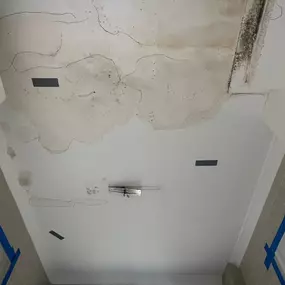 Bild von Alpha Asbestos Solutions Ltd.