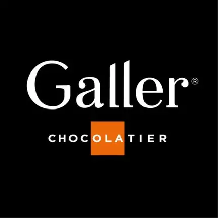 Logo od Galler Ixelles