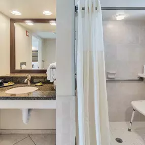 Double Accessible Bathroom