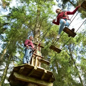 Bild von Go Ape Black Park