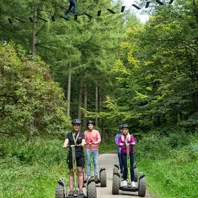 Bild von Go Ape Black Park