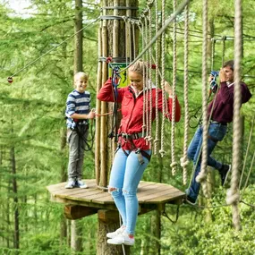 Bild von Go Ape Black Park