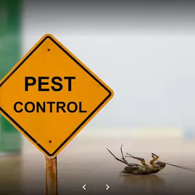 Bild von Township Pest Control