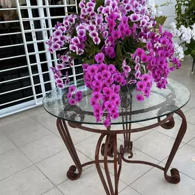 Bild von JB Orchids