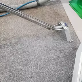 Bild von Essential Carpet Care Ltd