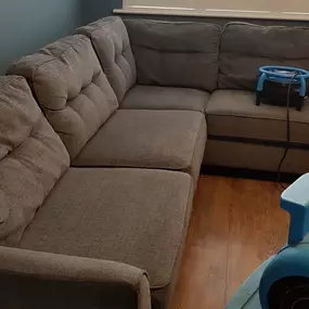 Bild von Essential Carpet Care Ltd