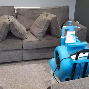Bild von Essential Carpet Care Ltd