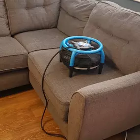 Bild von Essential Carpet Care Ltd