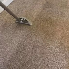 Bild von Essential Carpet Care Ltd