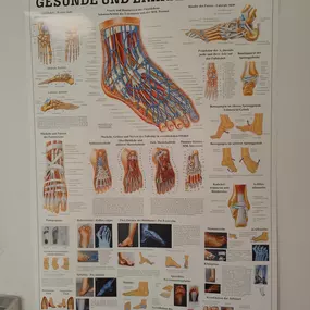 Bild von Gut zu Fuß