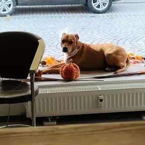 Bild von Gut zu Fuß