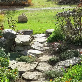 Bild von Wilms Garten- und Landschaftsbau