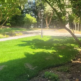 Bild von HomeOps Electric