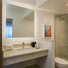 Guest room bath