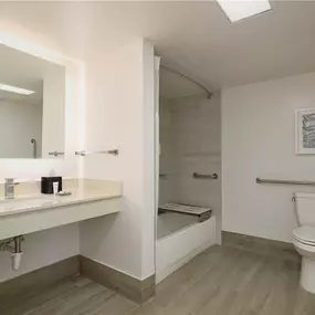 Guest room bath