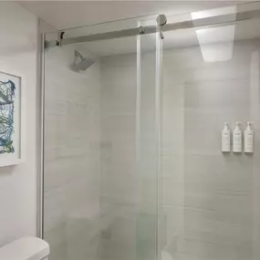 Guest room bath