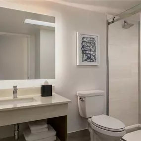 Guest room bath