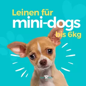 Bild von seelenhund-leinen