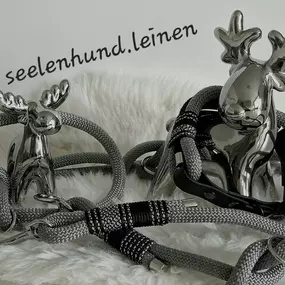 Bild von seelenhund-leinen