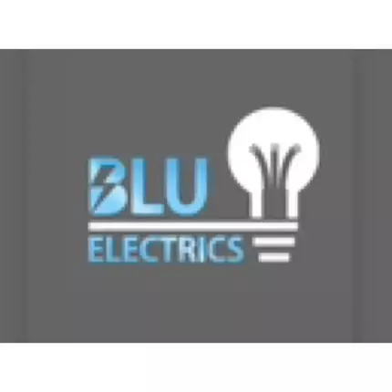 Logo de Blu Electrics Ltd