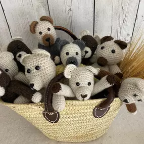 Bild von Shalimar Alpacas Farm