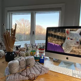 Bild von Shalimar Alpacas Farm
