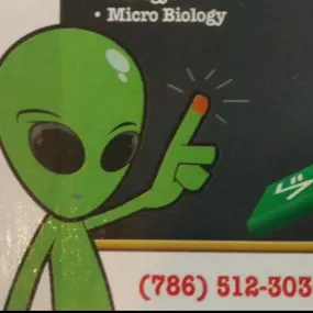 Bild von Tutoring By George