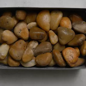 Bild von Olimar Stone - Miami