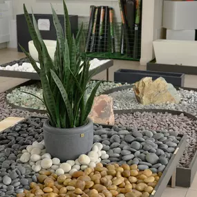 Bild von Olimar Stone - Miami