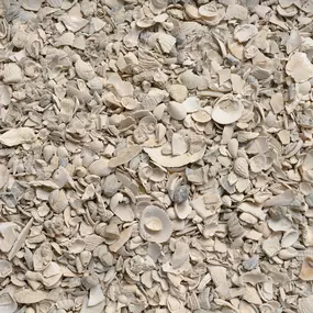 Bild von Olimar Stone - Miami