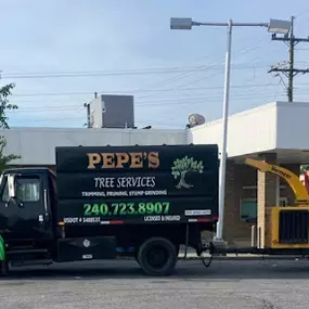 Bild von Pepe's Tree Services