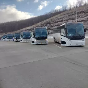 Fleet of Luxury Motorcoaches