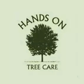 Bild von Hands on Tree Care