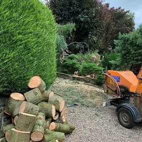 Bild von Hands on Tree Care