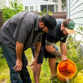 Inspection is the first step to effective mosquito control!