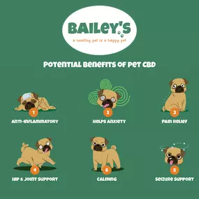 Bild von Bailey's CBD For Pets