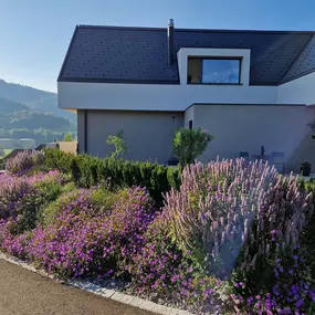 Bild von Yasiflor GmbH MANUFAKTUR GARTEN  WASSER