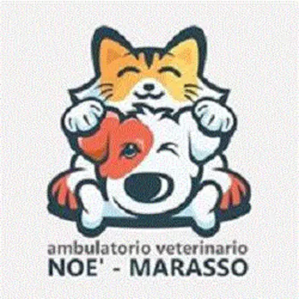 Logo van Ambulatorio Veterinario Associato Noe' Marasso