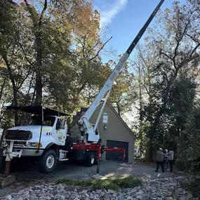 Bild von Maldonado Tree Service LLC