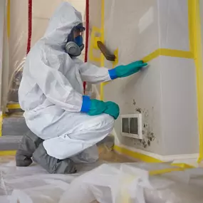 Mold remediation inspecting a mold-infested vent