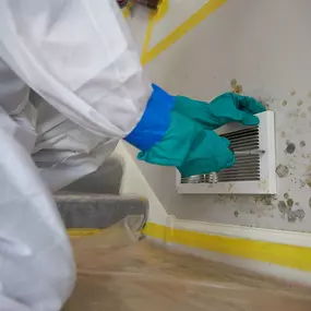 Mold remediation inspecting a mold-infested vent