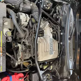 Bild von Atomic Autosports