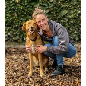 Bild von Hundephysiotherapie Kira Raddatz