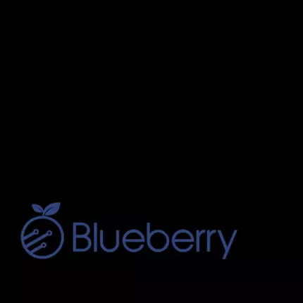 Logo de Blueberry IT