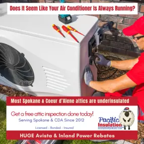 Bild von Pacific Insulation & Mold Remediation