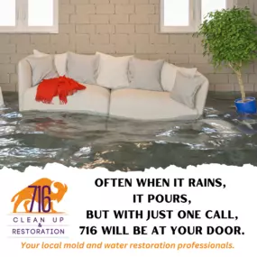 Financing Available
716 Clean Up Restoration is a veteran-owned and community-focused water damage restoration, mold restoration, fire damage restoration, and junk removal company.

We offer a variety of payment options to suit your needs, and we’re dedicated to providing the highest level of customer service.

We believe that everyone deserves access to quality restoration services, and we’re proud to be able to offer financing options to make that possible.

If you’re dealing with water damage