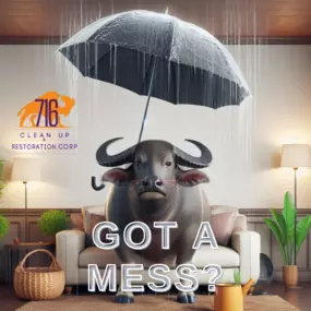 Financing Available
716 Clean Up Restoration is a veteran-owned and community-focused water damage restoration, mold restoration, fire damage restoration, and junk removal company.

We offer a variety of payment options to suit your needs, and we’re dedicated to providing the highest level of customer service.

We believe that everyone deserves access to quality restoration services, and we’re proud to be able to offer financing options to make that possible.

If you’re dealing with water damage