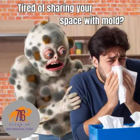 Financing Available
716 Clean Up Restoration is a veteran-owned and community-focused water damage restoration, mold restoration, fire damage restoration, and junk removal company.

We offer a variety of payment options to suit your needs, and we’re dedicated to providing the highest level of customer service.

We believe that everyone deserves access to quality restoration services, and we’re proud to be able to offer financing options to make that possible.

If you’re dealing with water damage