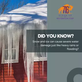Financing Available
716 Clean Up Restoration is a veteran-owned and community-focused water damage restoration, mold restoration, fire damage restoration, and junk removal company.

We offer a variety of payment options to suit your needs, and we’re dedicated to providing the highest level of customer service.

We believe that everyone deserves access to quality restoration services, and we’re proud to be able to offer financing options to make that possible.

If you’re dealing with water damage